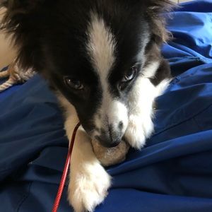 Meet your Posher, Andrew